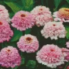 Pink Zinderella Zinnia Diamond Painting