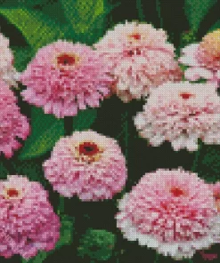 Pink Zinderella Zinnia Diamond Painting