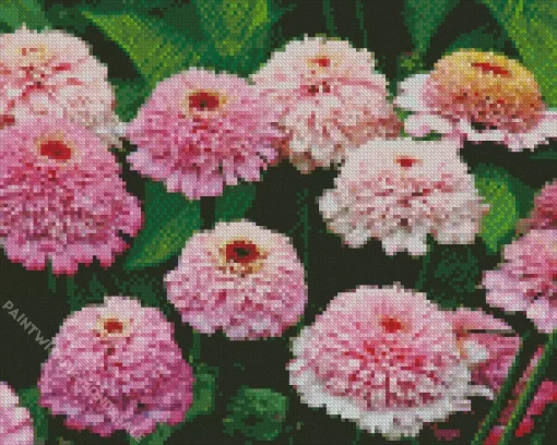 Pink Zinderella Zinnia Diamond Painting