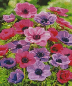 Pink And Purple Anemone Diamond Painting