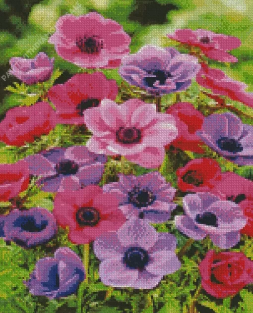 Pink And Purple Anemone Diamond Painting