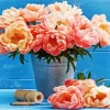 Pink Coral Sunset Peony Diamond Painting