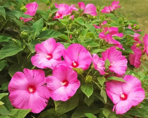 Pink Hardy Hibiscus Diamond Painting