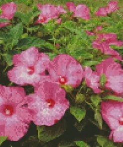 Pink Hardy Hibiscus Diamond Painting