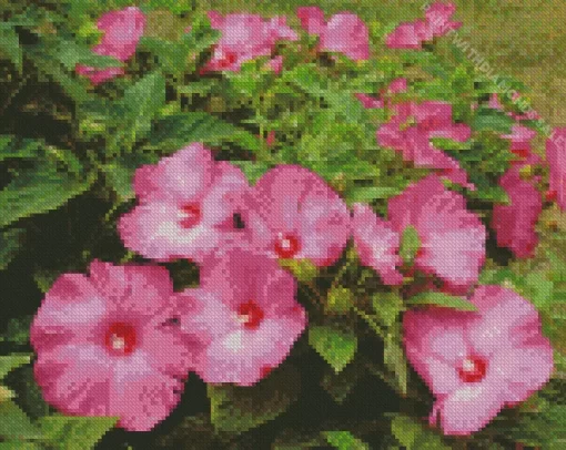 Pink Hardy Hibiscus Diamond Painting