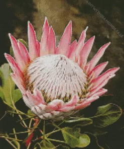 Pink King Protea Art Diamond Painting