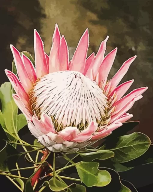 Pink King Protea Art Diamond Painting