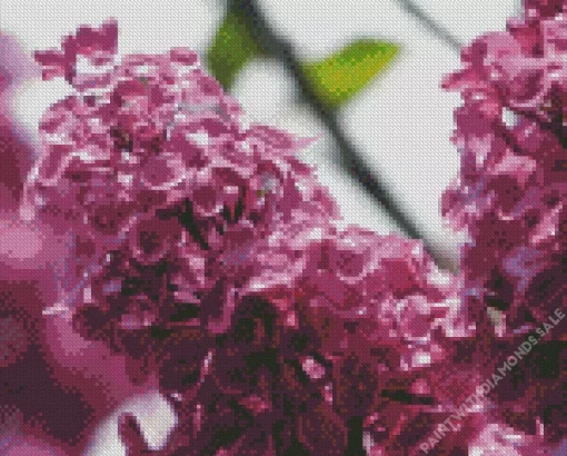 Pink Lilacs Diamond Painting