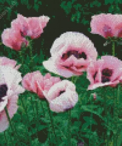 Pink Oriental Poppy Diamond Painting