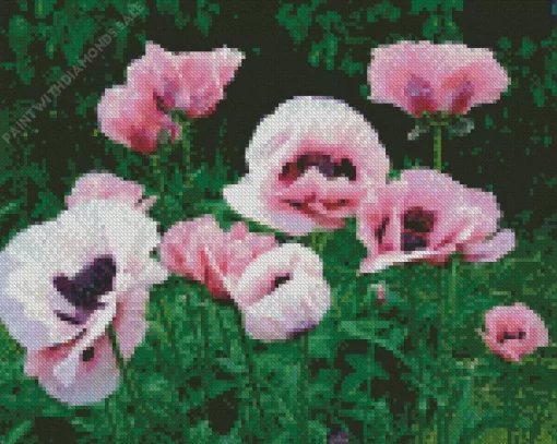 Pink Oriental Poppy Diamond Painting