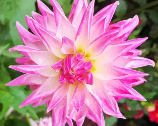 Pink Stella Dahlia Diamond Painting