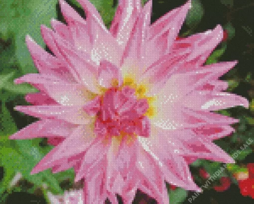 Pink Stella Dahlia Diamond Painting