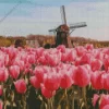 Pink Tulips In Amsterdam Diamond Painting