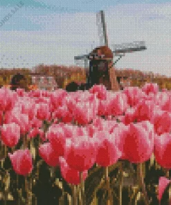 Pink Tulips In Amsterdam Diamond Painting