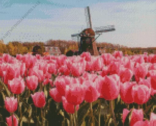 Pink Tulips In Amsterdam Diamond Painting