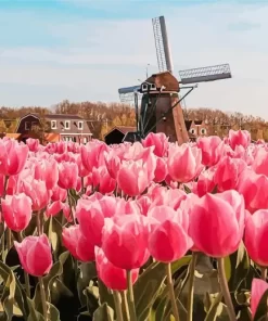 Pink Tulips In Amsterdam Diamond Painting