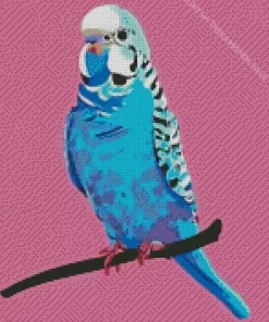 Pop Art Budgie Diamond Painting