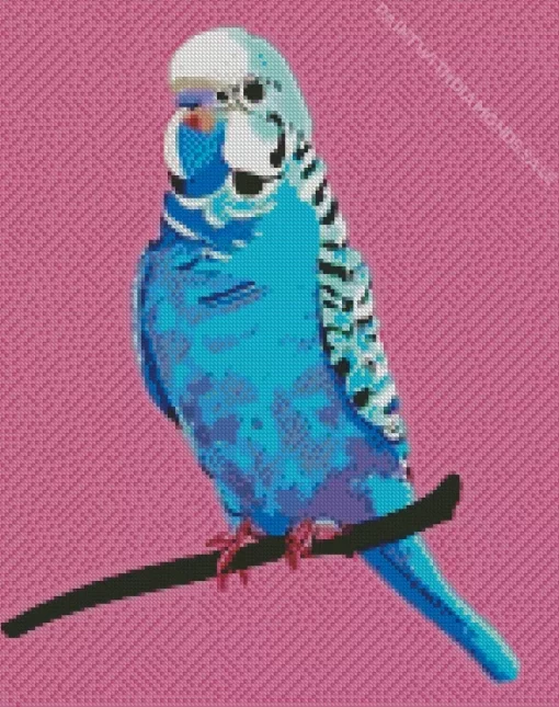 Pop Art Budgie Diamond Painting