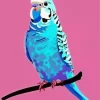 Pop Art Budgie Diamond Painting