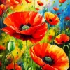 Poppy Flower Art Diamond Painting