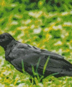 Punjab Raven Bird Diamond Painting