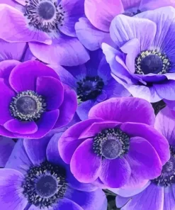 Purple Anemone Flower Diamond Painting