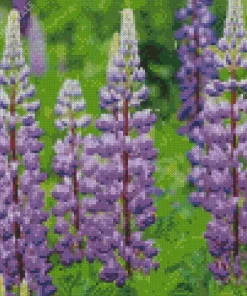 Purple Bigleaf Lupine Diamond Painting