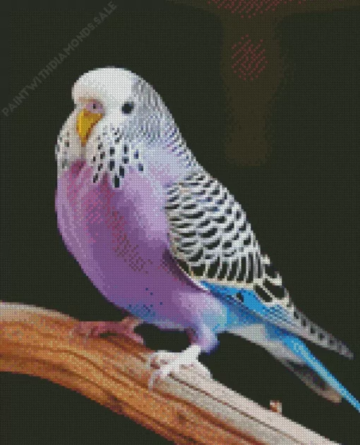 Purple Budgie Diamond Painting