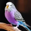 Purple Budgie Diamond Painting