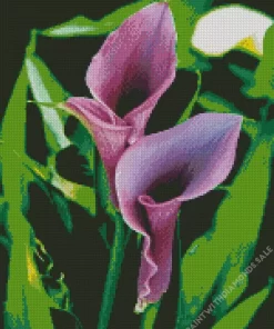 Purple Carpet Border Lilies Diamond Painting