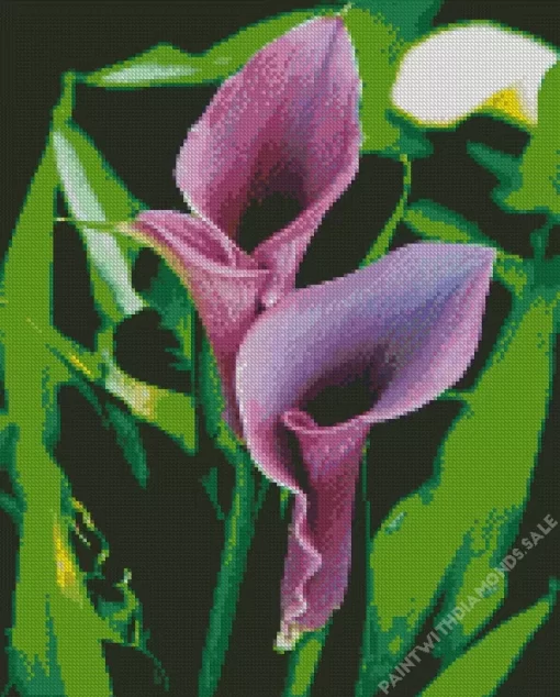 Purple Carpet Border Lilies Diamond Painting