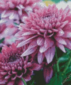 Purple Chrysanthemum Diamond Painting