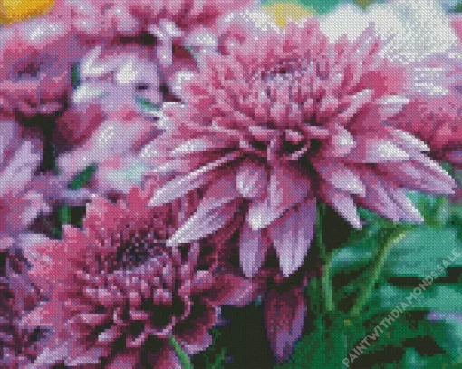 Purple Chrysanthemum Diamond Painting