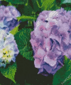 Purple Hydrangea Macrophylla Diamond Painting