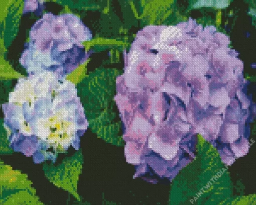 Purple Hydrangea Macrophylla Diamond Painting