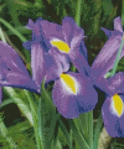 Purple Iris Flower Diamond Painting