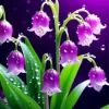 Purple Lily Of The Valley Diamond Painting