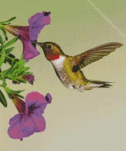 Purple Petunia And Hummingbird Diamond Painting