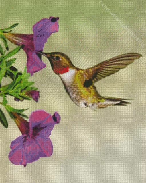 Purple Petunia And Hummingbird Diamond Painting