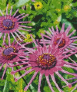 Purple African Daisy Spider Diamond Painting