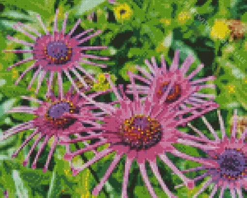 Purple African Daisy Spider Diamond Painting