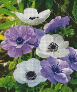 Purple And White Anemone Diamond Painting