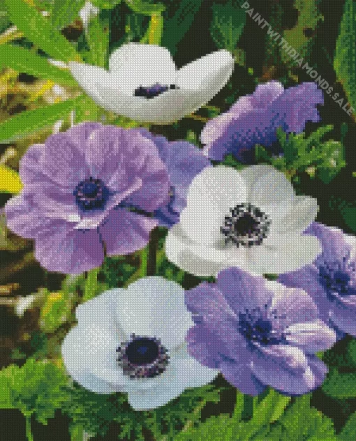 Purple And White Anemone Diamond Painting