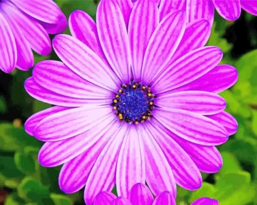 Purple Cape Daisies Diamond Painting