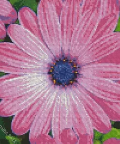 Purple Cape Daisies Diamond Painting