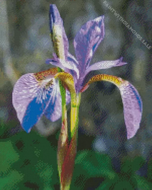 Purple Iris Diamond Painting