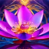 Purple Nelumbo Nucifera Diamond Painting