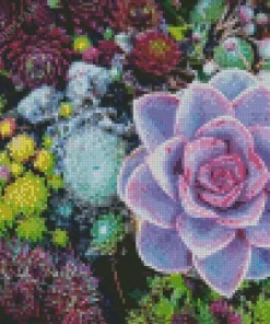 Purple Succulent With Flowers Diamond Painting