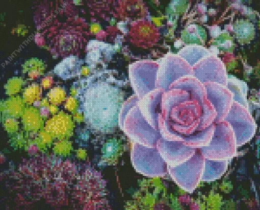 Purple Succulent With Flowers Diamond Painting