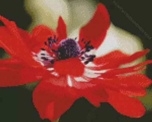 Red Anemone Diamond Painting